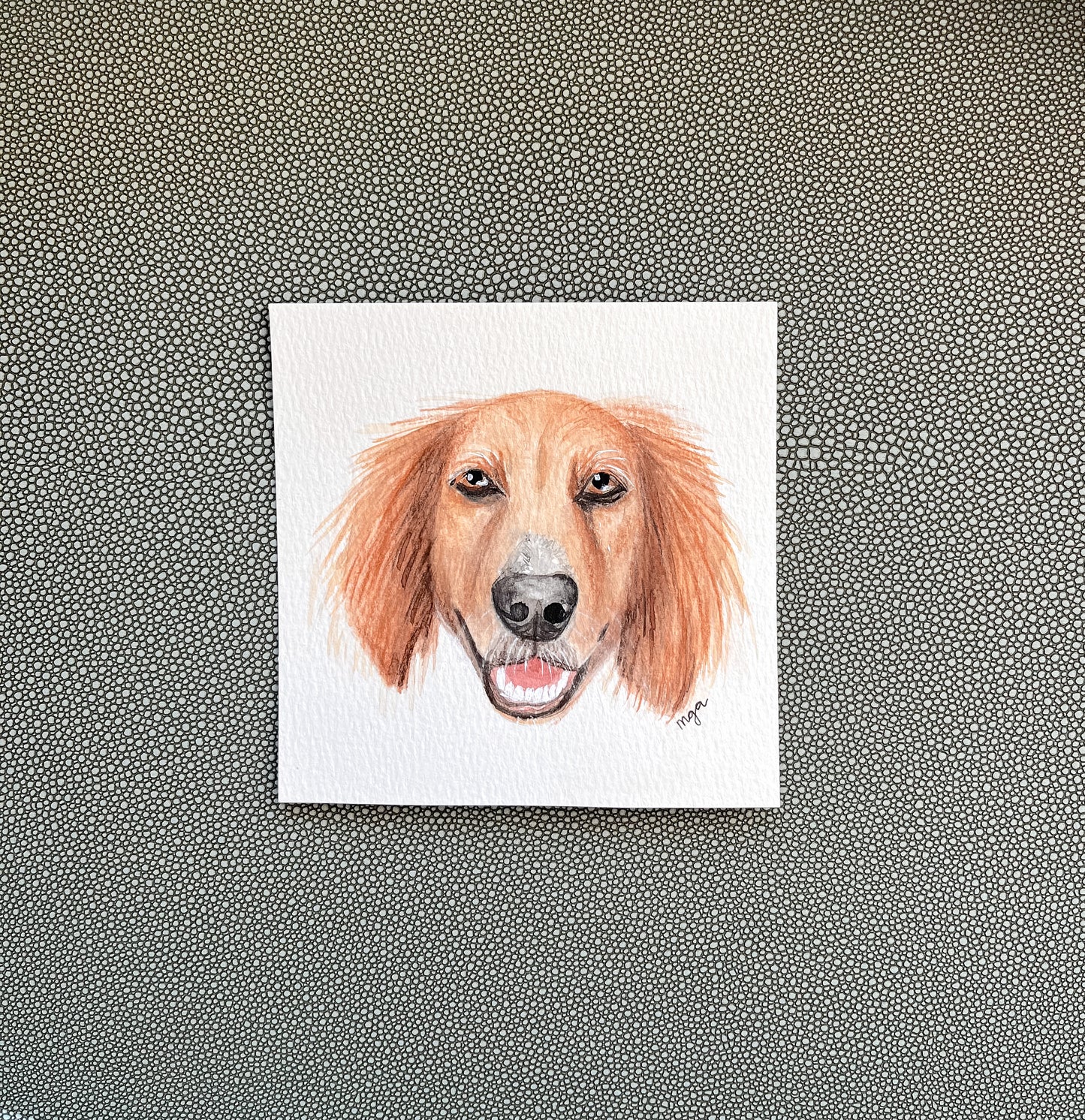 Custom pet portrait