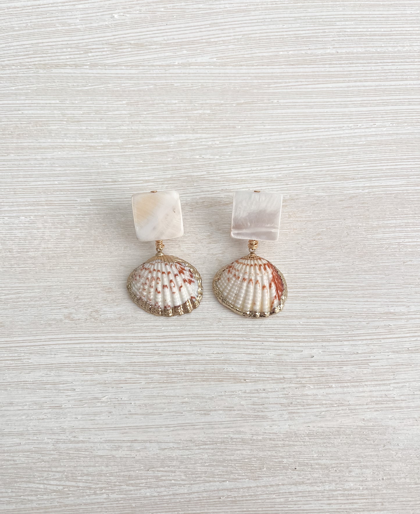 Shells earrings