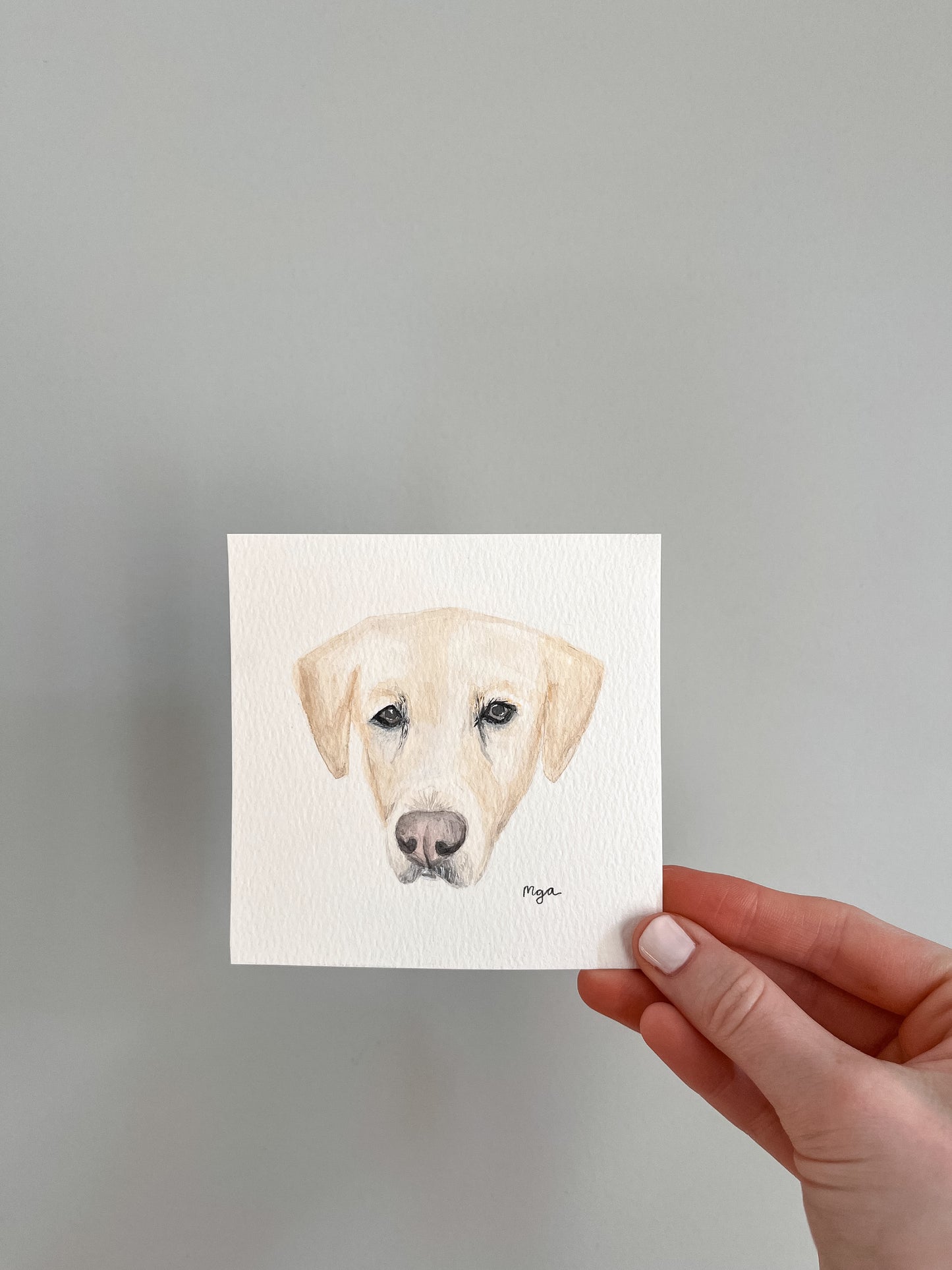 Custom pet portrait