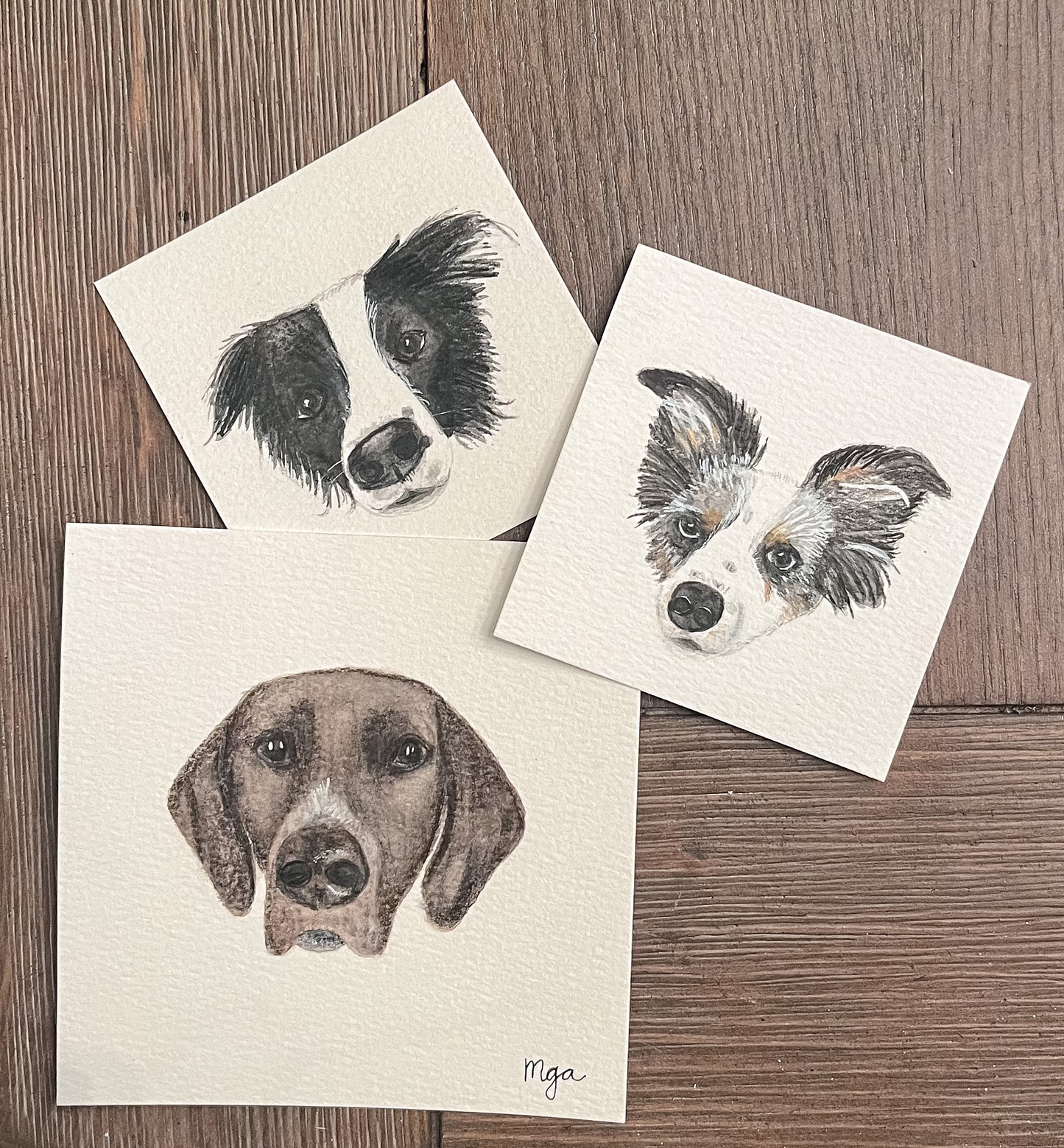 Custom pet portrait