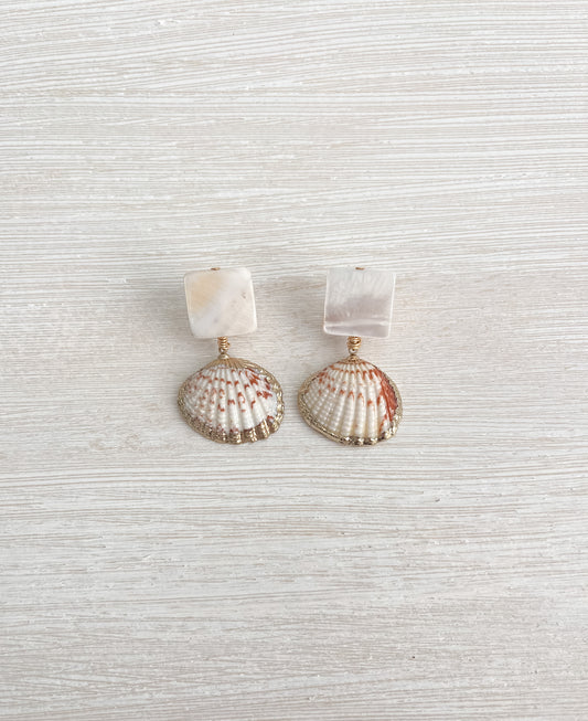 Shells earrings